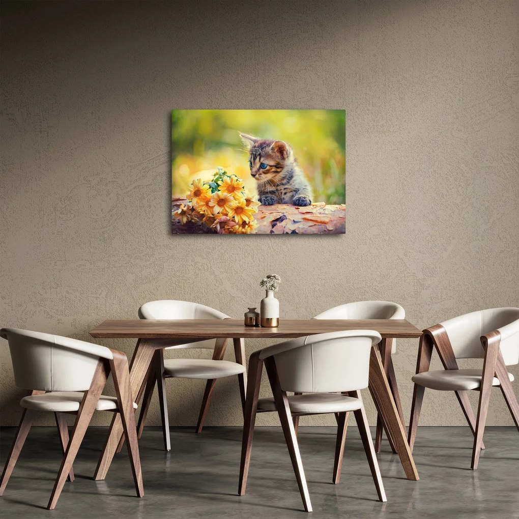 Tablou cu pisicuța uitându-se la floare (70x50 cm)