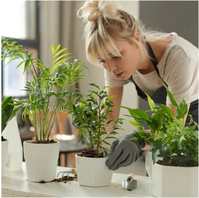 Lampa LED pentru cresterea plantelor VERDI V2 5W 1300K – Reglabila, dimabila, USB, alb