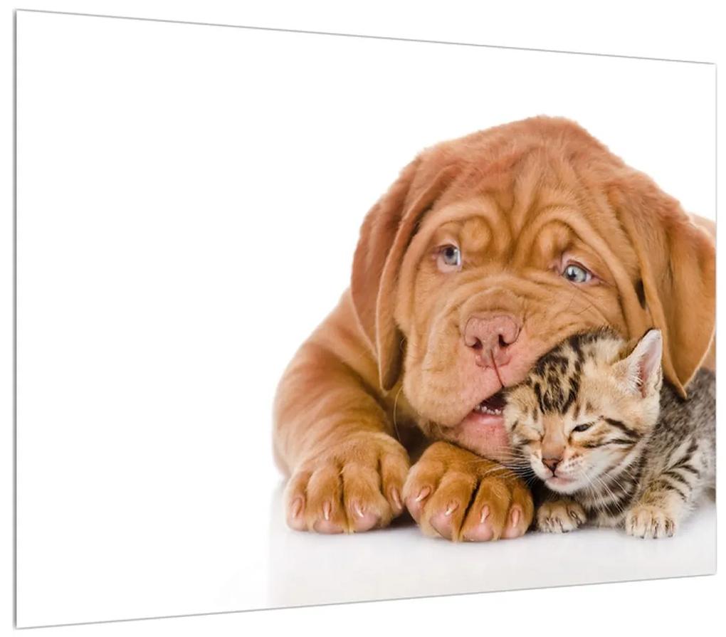 Tablou câinele cu pisicuța (70x50 cm), în 40 de alte dimensiuni noi