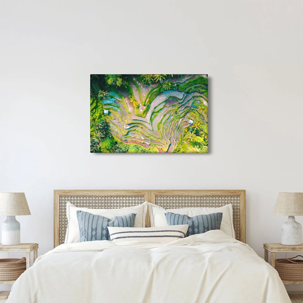 Tablou cu lanuri de orez din privire de sus (90x60 cm)