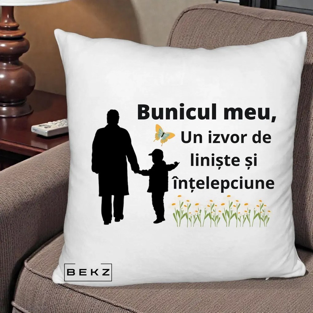 Cadou pentru Bunic - Perna Personalizata Bunicul Meu Izvor de Liniste cu Fluture si Baietel, 40x40 cm, Alb Pufos, Husa Detasabila, Perna Inclusa, BEKZ®