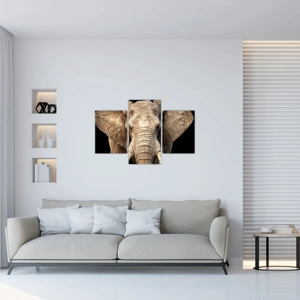 Tablou - Elefant african (90x60 cm)