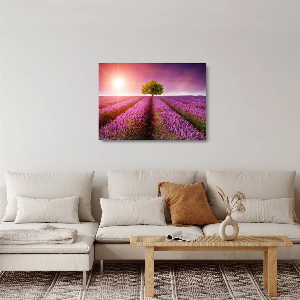 Tablou pe sticlă câmp cu lavandă (70x50 cm)
