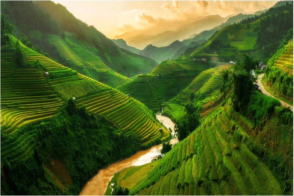 Tablou - Terase de orez Mu Cang Chai (90x60 cm)