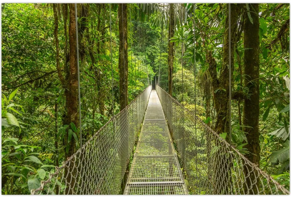 Tablou - Pod suspendat (90x60 cm)