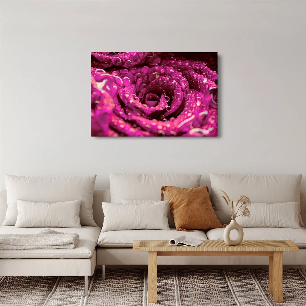 Tabloul cu floarea trandafirului roz (90x60 cm)