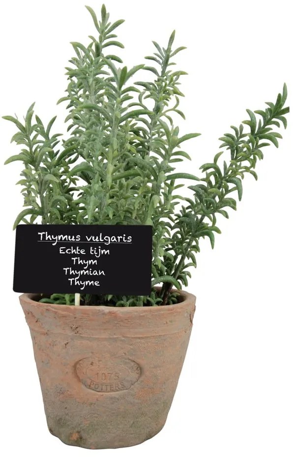 Plantă artificială (înălțime 21,5 cm) Thyme – Esschert Design