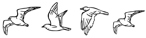 SET 4x decorațiune de perete metal păsări