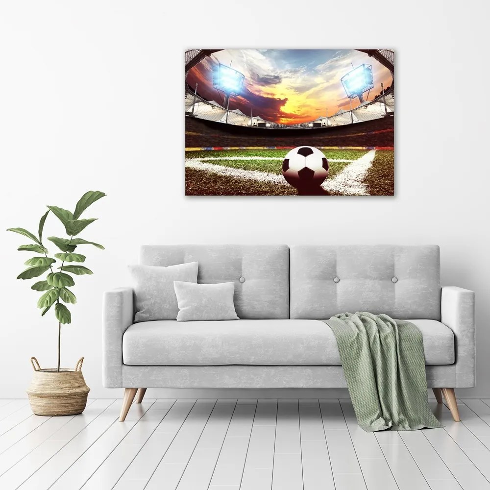 Pictură pe pânză Stadion de fotbal