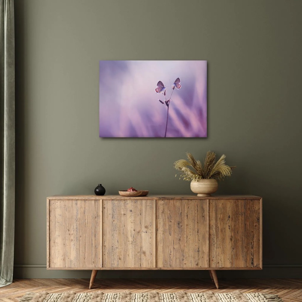 Tablou - Fluturi mov (70x50 cm)