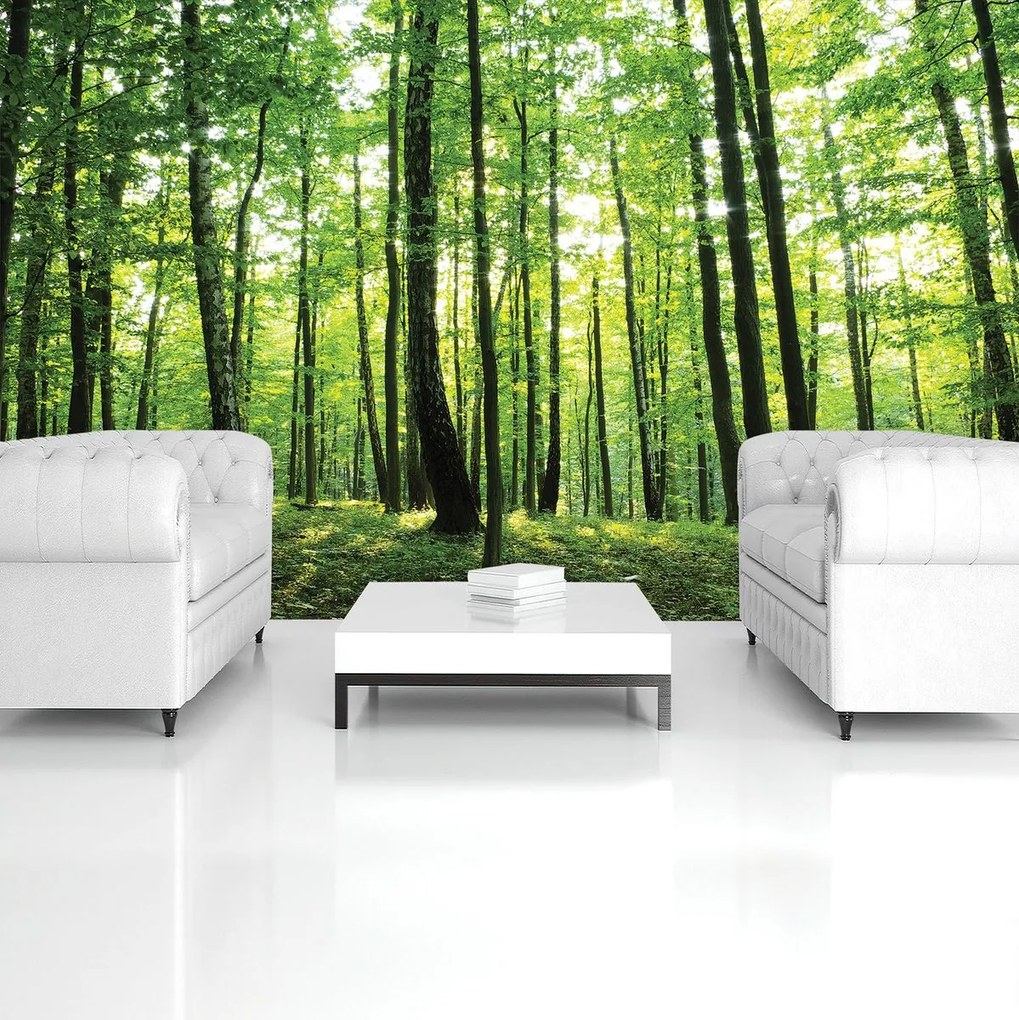 Fototapet - Pădurea verde (152,5x104 cm)