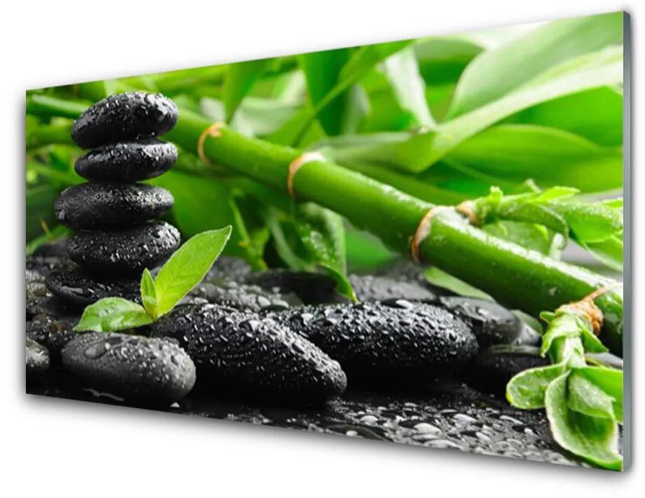 Tablou pe sticla acrilica Bamboo Pietre Floral Verde Negru
