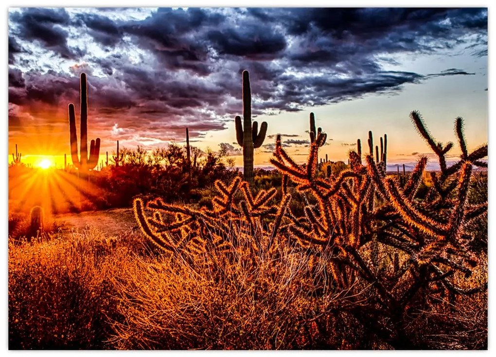 Tablou - Ora aurie a deșertului (70x50 cm)
