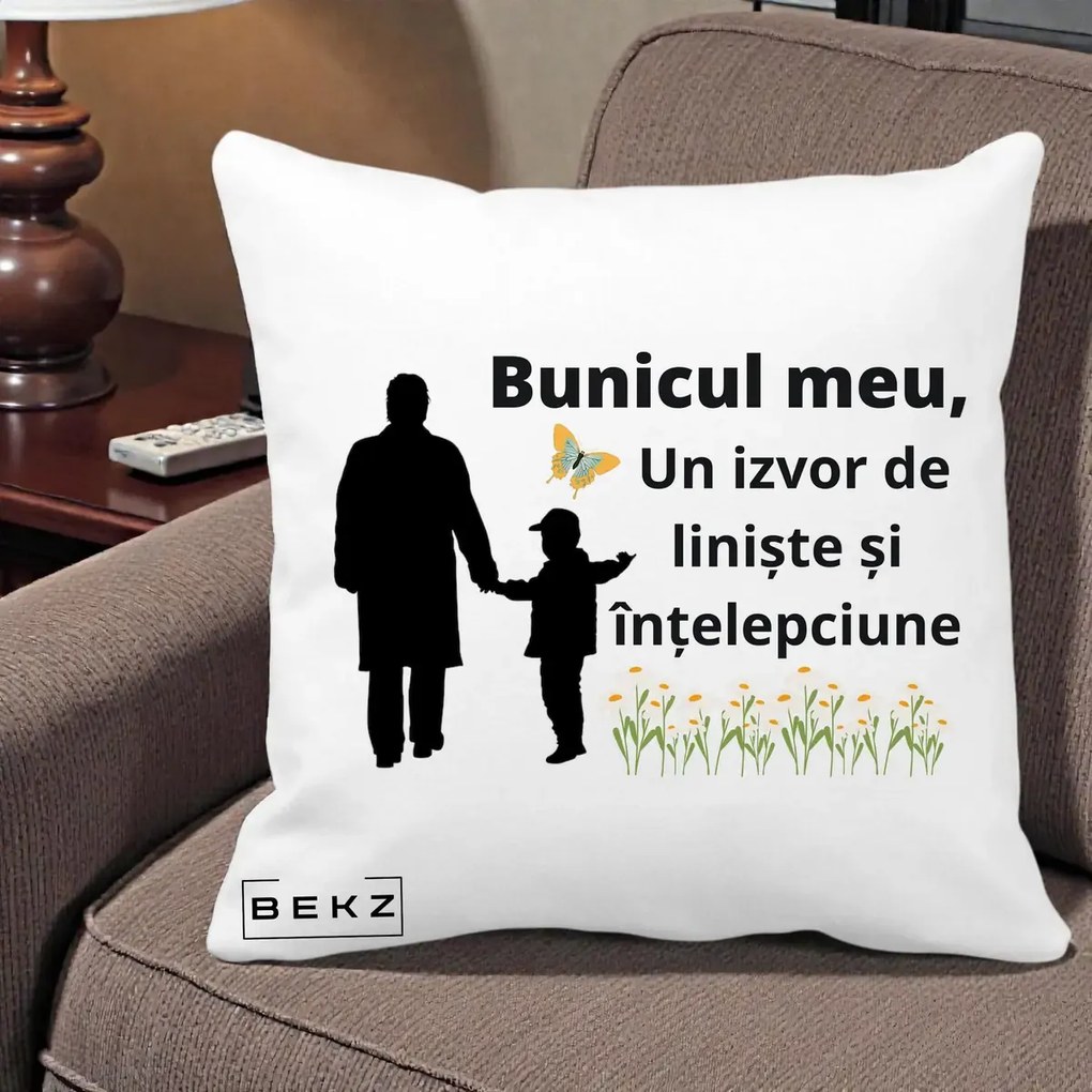 Cadou pentru Bunic - Perna Personalizata Bunicul Meu Izvor de Liniste cu Fluture si Baietel, 40x40 cm, Alba Mata, Husa Detasabila, Perna Inclusa, BEKZ®