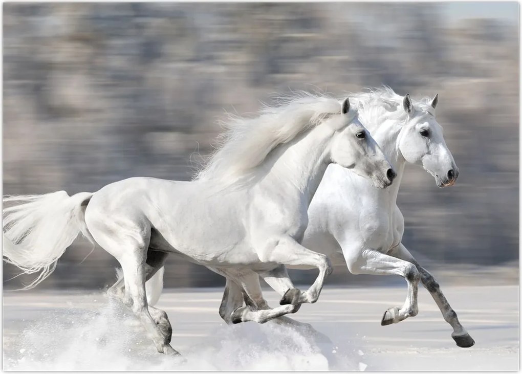 Tablou - Cai albi în timpul iernii (70x50 cm)