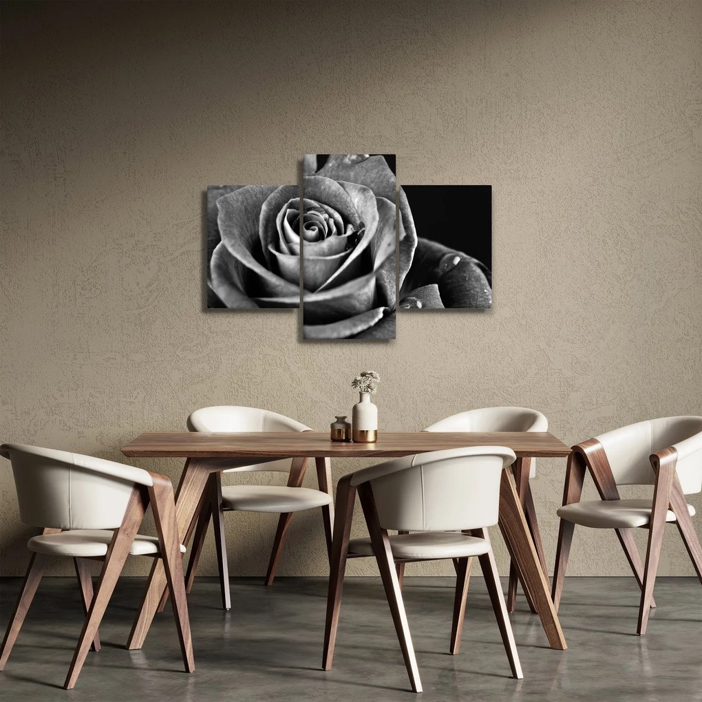 Tablou - Trandafir,alb-negru (90x60 cm)