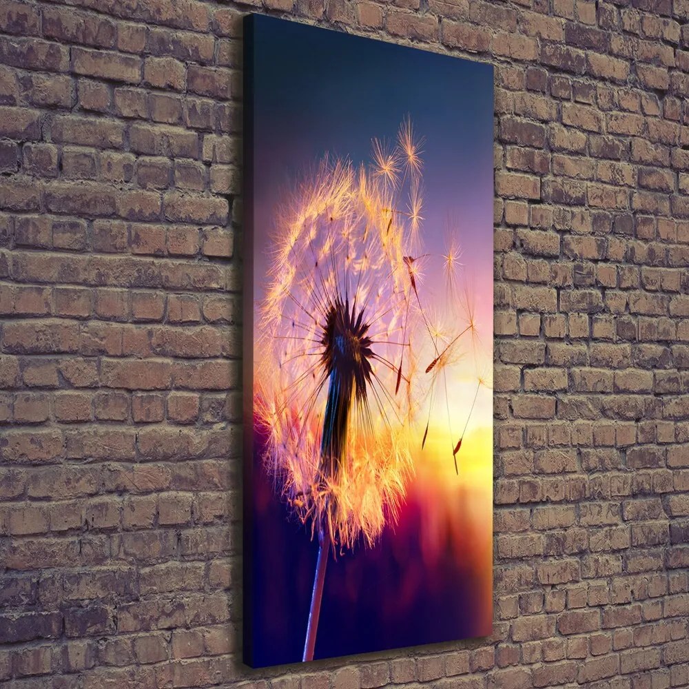 Imprimare tablou canvas Păpădie