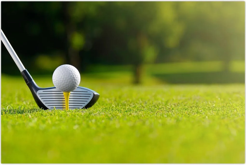 Tablou - Golf (90x60 cm)