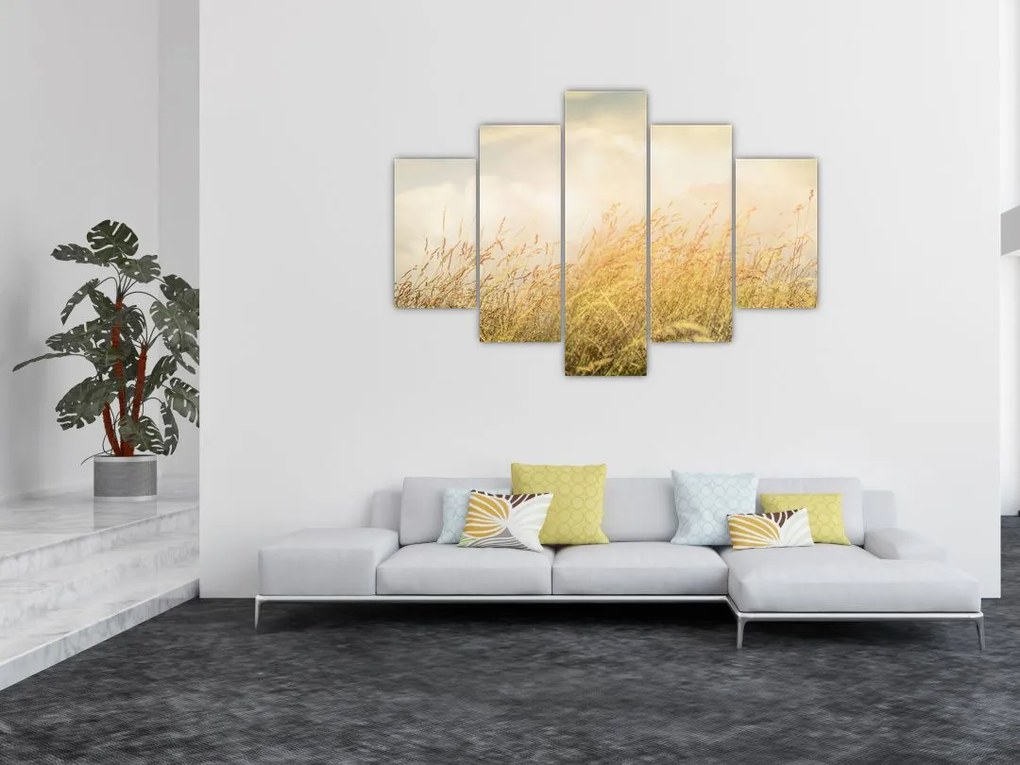 Tablou - Câmp toamna (150x105 cm)