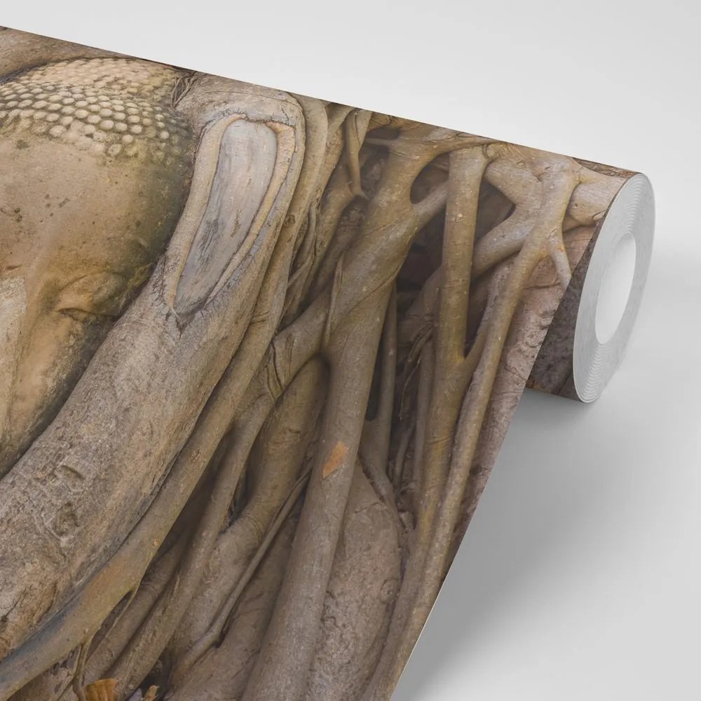 Fototapet autoadeziv Smochinul sacru al lui Buddha