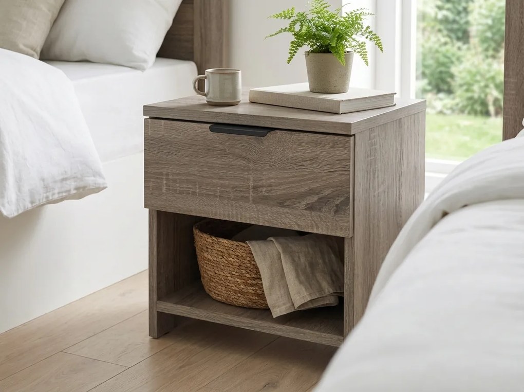 Noptiera stejar trufa, HAVANA