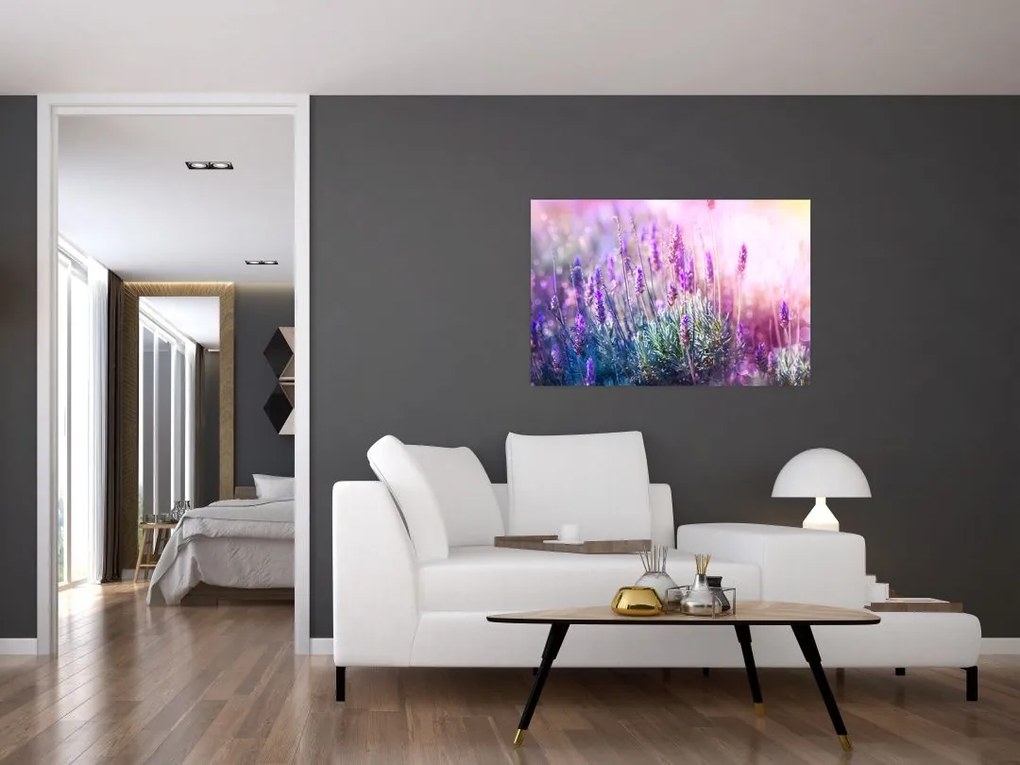 Tablou - Lavandă în strălucirea soarelui (90x60 cm)