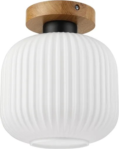 Plafonieră HARMA WOOD 1xE27/15W/230V stejar/alb Ø 20 cm