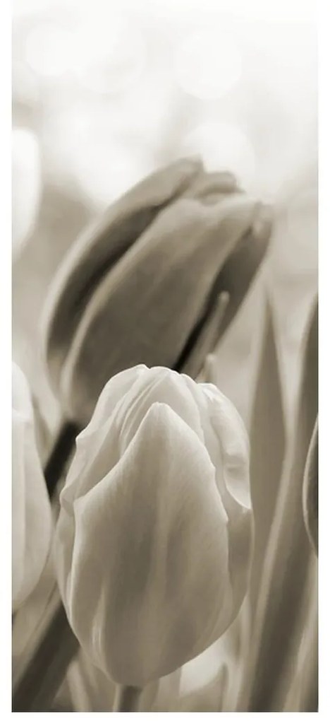 Fotojaluzele R012126R57150 (57x150 cm)