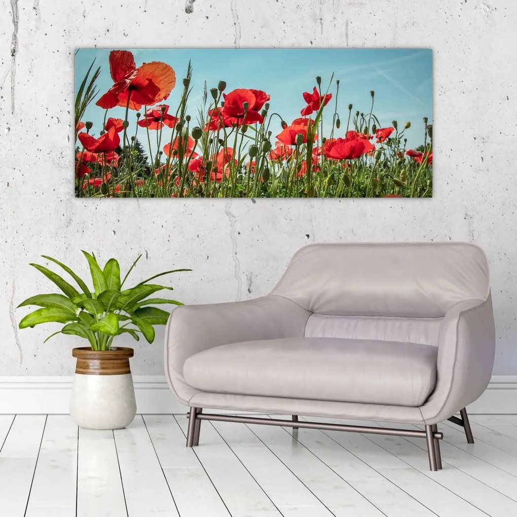 Tablou - Pe câmpul cu maci (120x50 cm)