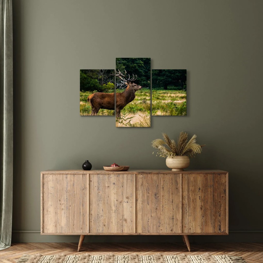 Tablou cu cerb (90x60 cm)