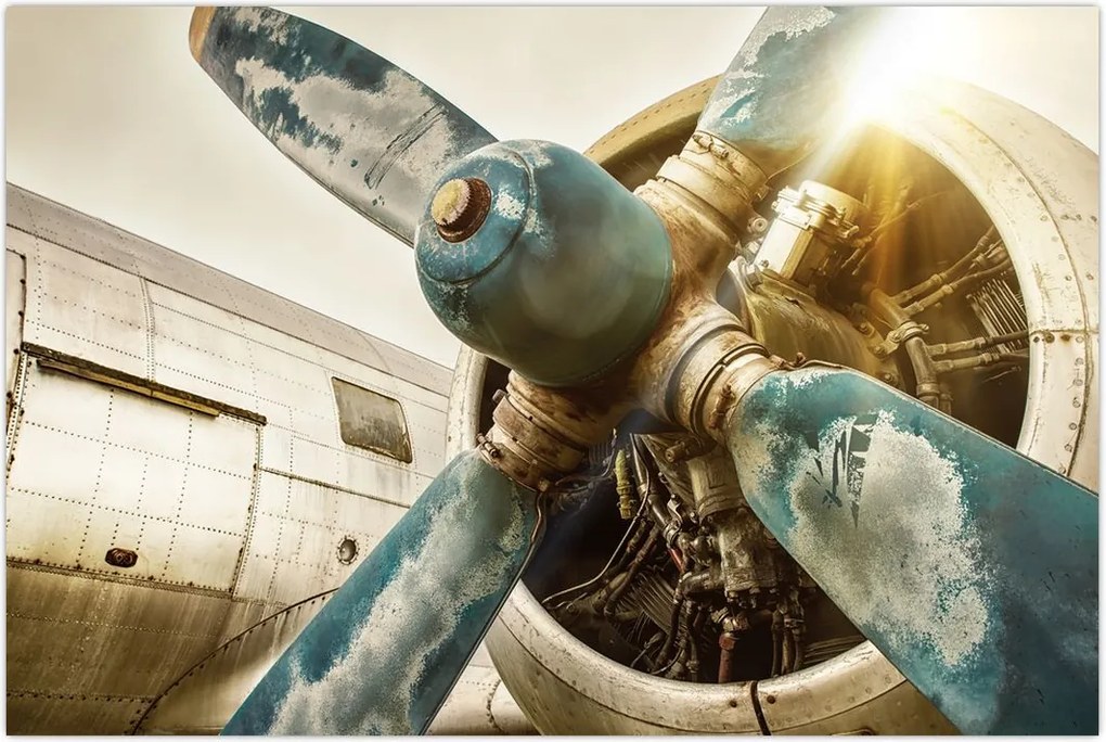 Tablou - Elice de avion vechi (90x60 cm)