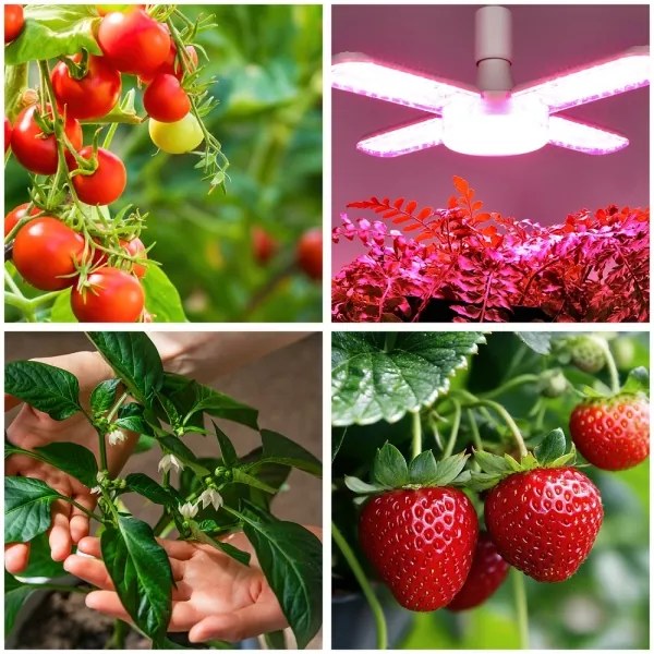 Bec LED pentru creșterea plantelor PLANTY E27/40W/230V 1200K