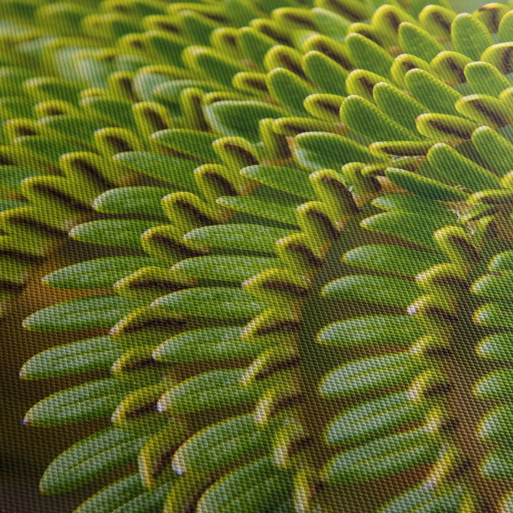 Tablou - Fern (cu ceas) (90x30 cm)