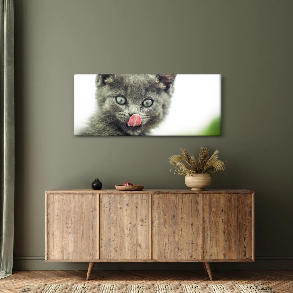 Tablou cu pisicuța lingându-se (120x50 cm)