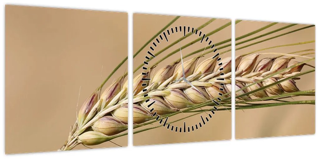 Tablou - Grâu (cu ceas) (90x30 cm)