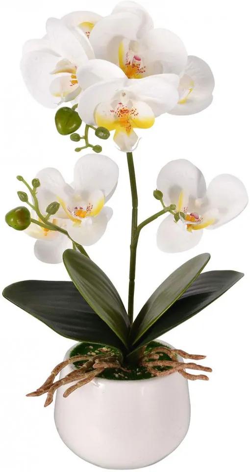 Floare artificiala Phalaenopsis Asvert, plastic/portelan, alb/verde, 10 x 10 x 35 cm