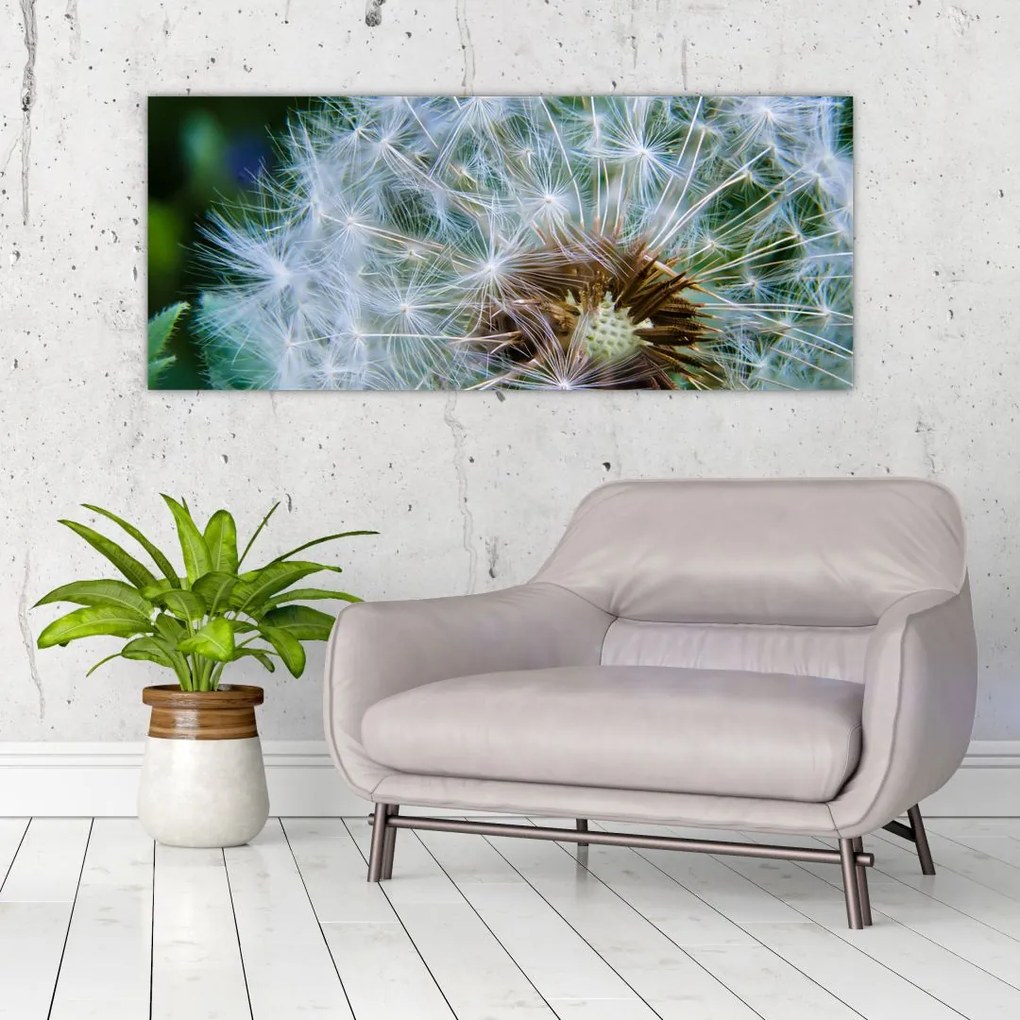 Tabloul cu păpădie desflorit (120x50 cm)