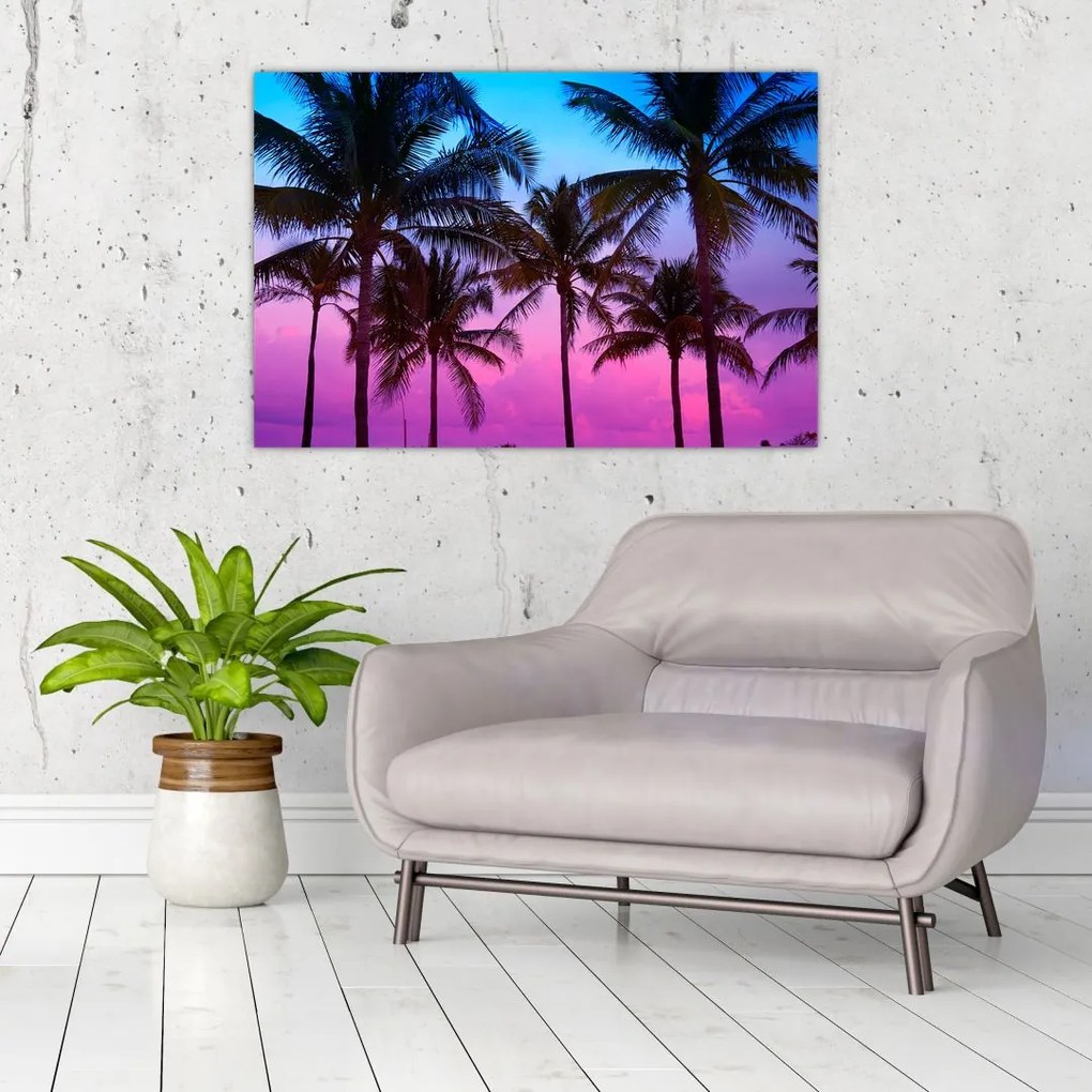 Tablou - Palmieri din Miami (90x60 cm)