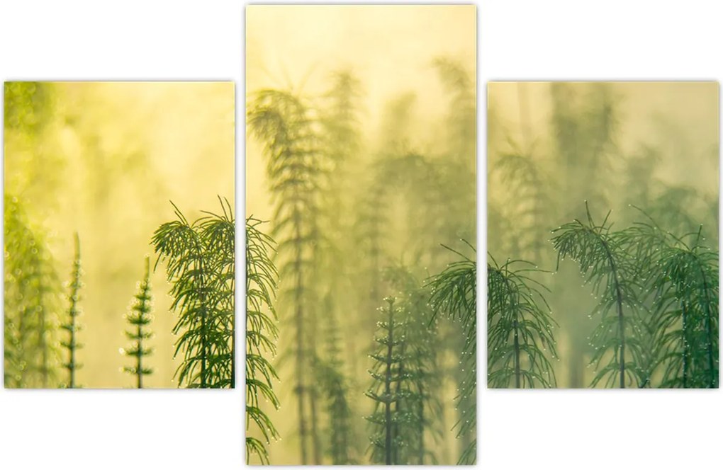 Tablou - Detaliu de primăvară natura cețoasă (90x60 cm)