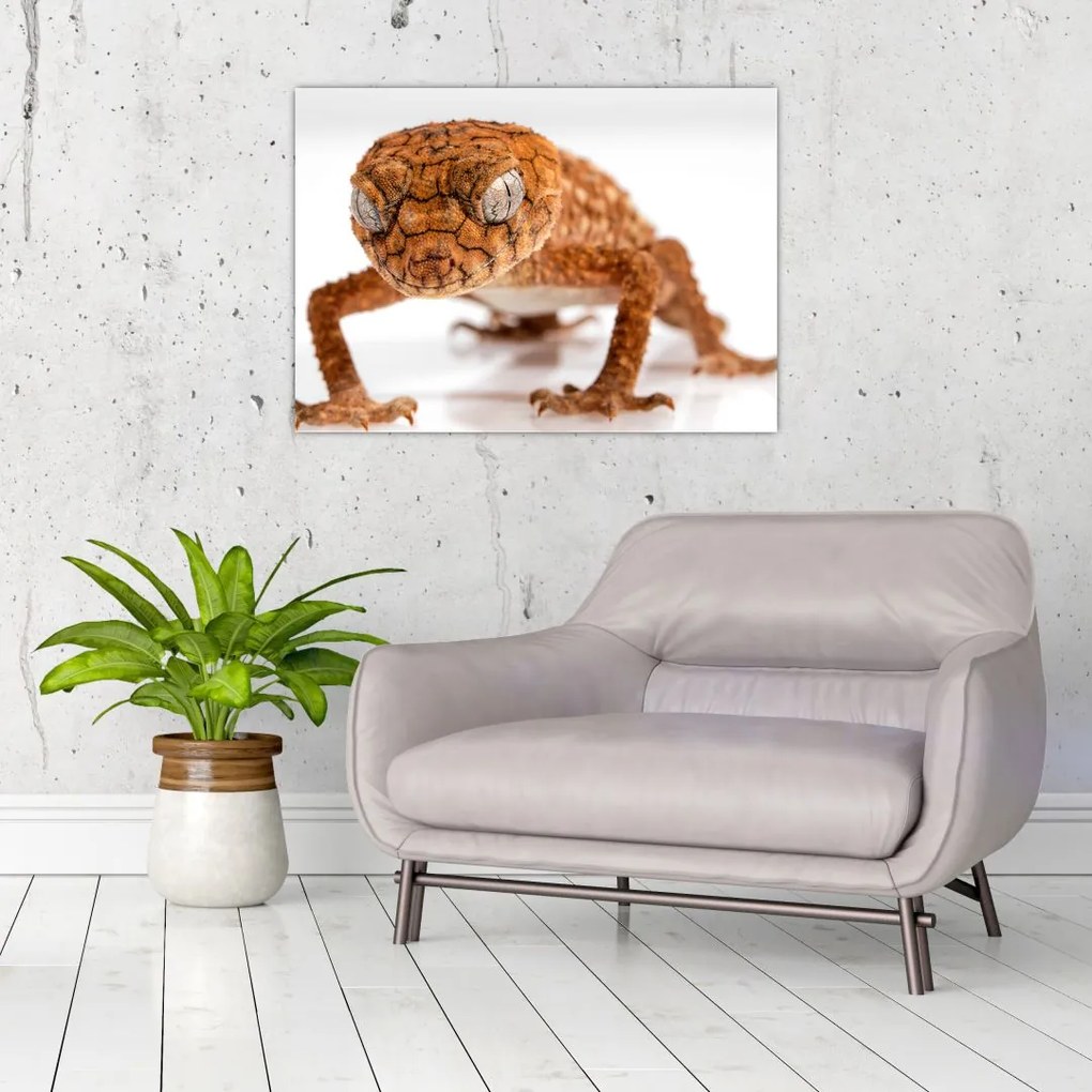 Tablou cu șopârlă (70x50 cm)