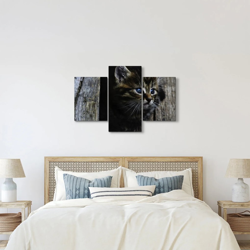 Tablou cu pisicuța (90x60 cm)