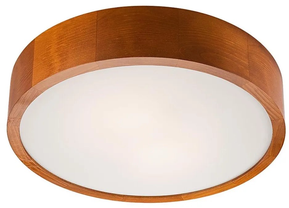 LED Plafonieră 1xLED/24W/230V