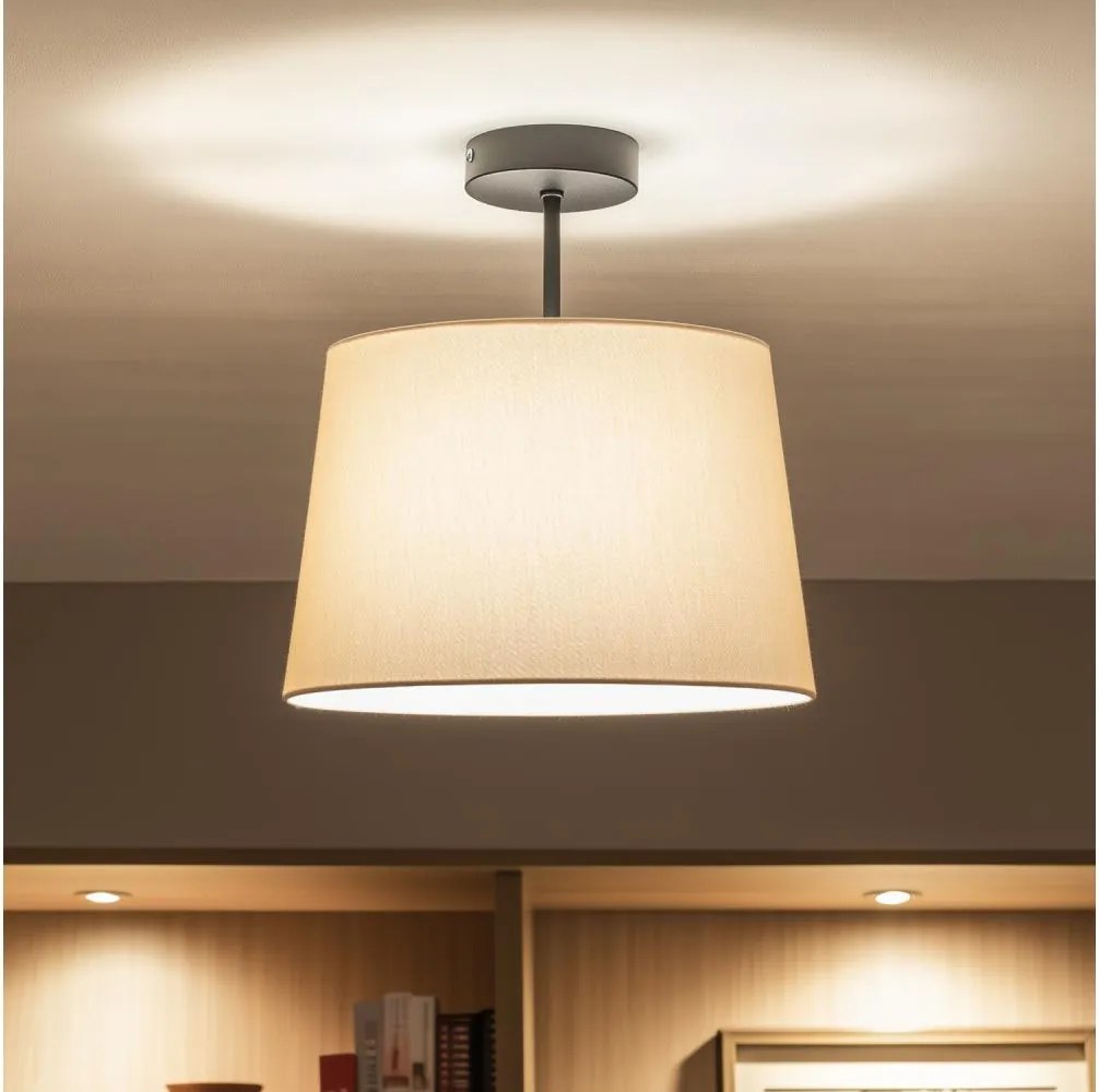 Brilagi - Plafonieră LED aplicată CERIA 1xE27/60W/230V diam. 30 cm negru/bej