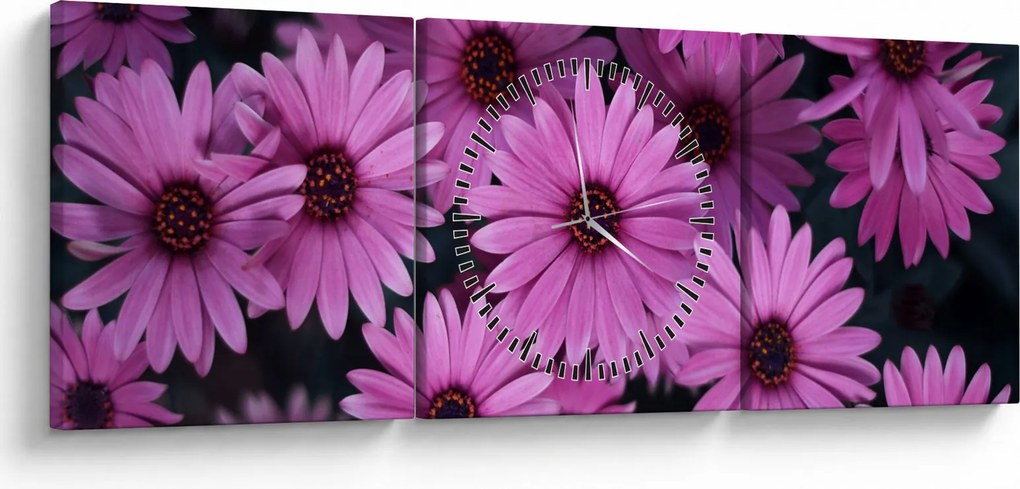 Tablou cu florile roz (cu ceas) (90x30 cm)