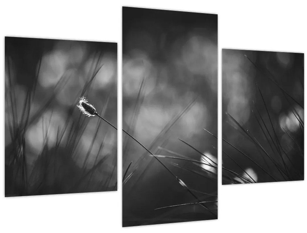 Tablou - Iarbă de pajiște (90x60 cm)