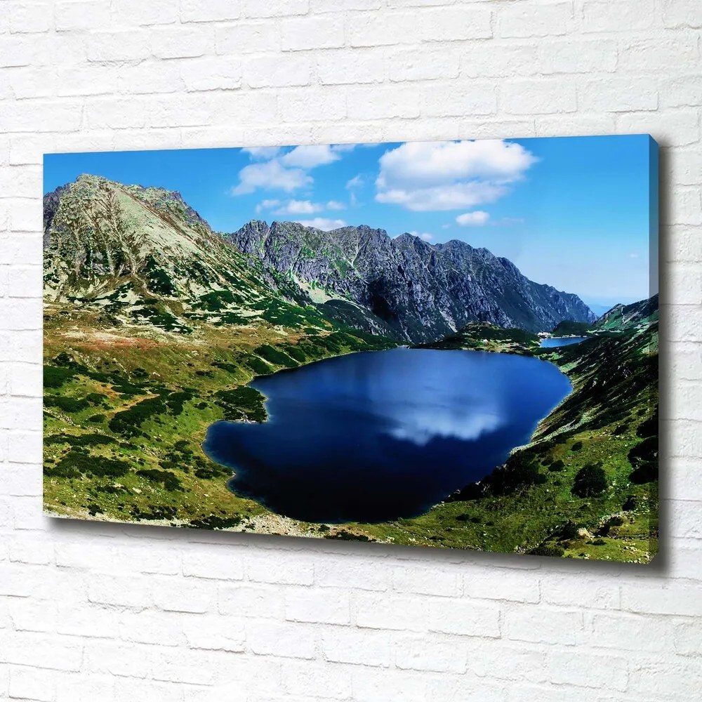Tablou canvas Valley în munți