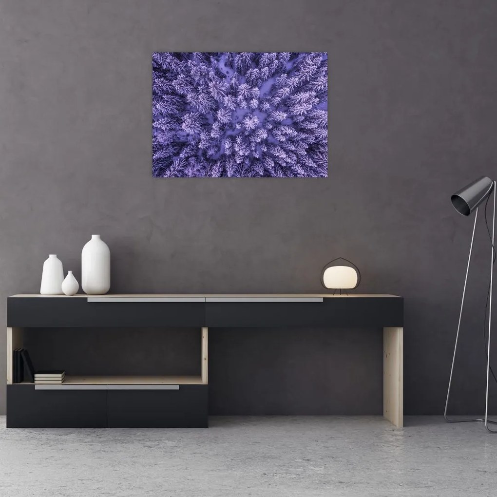 Tablou pe sticlă cu copacii înzăpeziți (70x50 cm)