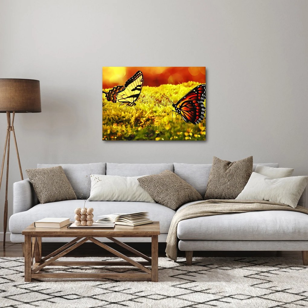 Tablou cu fluturi (70x50 cm)