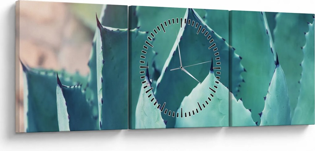 Tablou - Suculent (cu ceas) (90x30 cm)