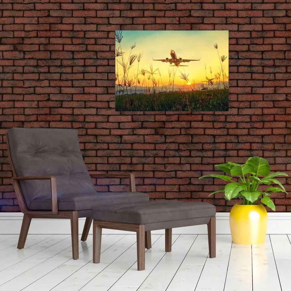 Tablou cu avion zburând (70x50 cm)